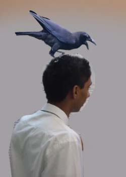 Crow on head-1